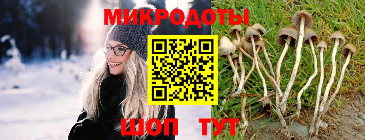 Псилоцибиновые грибы Psilocybine cubensis  Галлюциногенные грибы ЛСД  Кашира  Вход с VPN 