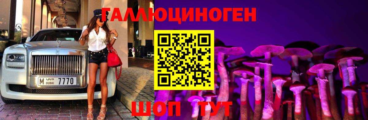 Галлюциногенные грибы Psilocybe Кашира