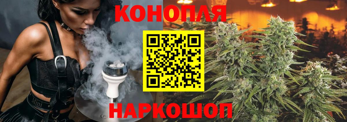 Бошки марихуана тримм  Конопля планчик  Вход с VPN  Бошки марихуана план  Кашира 